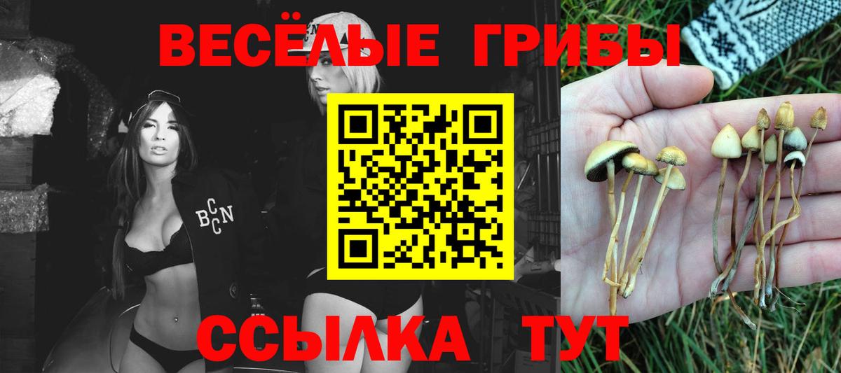 Псилоцибиновые грибы мухоморы Апрелевка